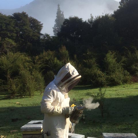 Bee Keeper